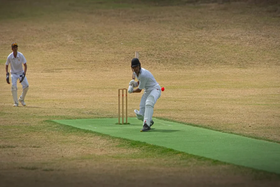 Cricket