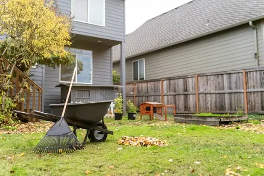 Spring Clean-Up The Most Overlooked Yard Maintenance Tasks