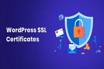 Steps to Install an SSL Certificate on WordPress