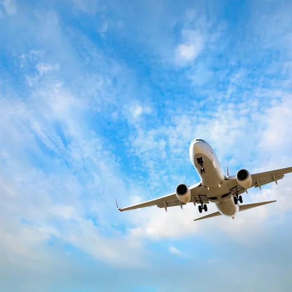 Easy Guide to Flights from Tallahassee to Fort Lauderdale
