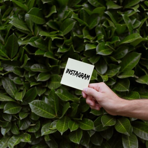 Instagram Advertising: How Businesses Can Turn Scrolls into Sales